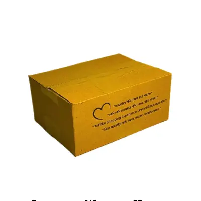 5 Ply – Packaging Carton Box – Medium (10pcs)