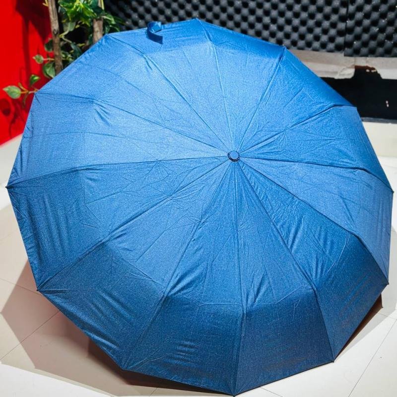 Premium 12-Ribs Automatic Umbrella With Flash Light – Blue