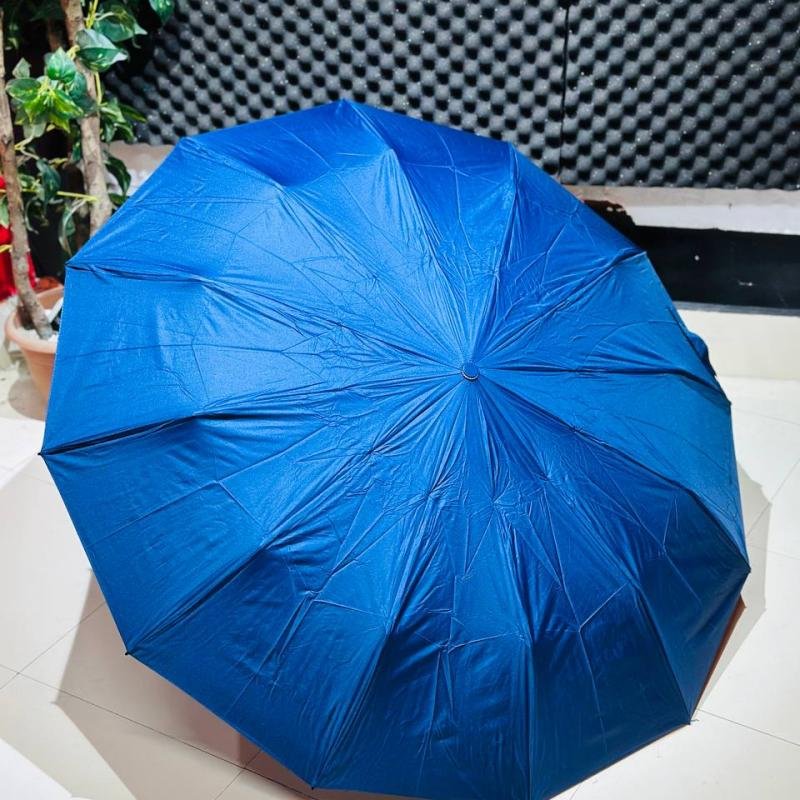 Premium 12-Ribs Automatic Dual-Person Umbrella with Fiber Handle