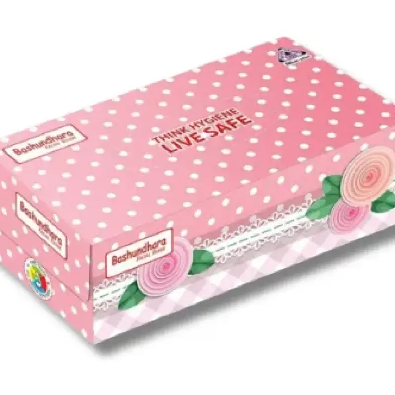 Bashundhara Facial Tissue 100x2Sheet