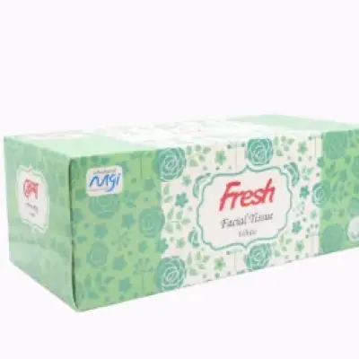 Fresh Facial Tissue White 100PcsX2Ply